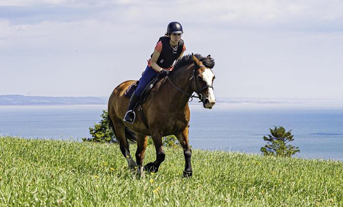 Horse riding with a beautiful view